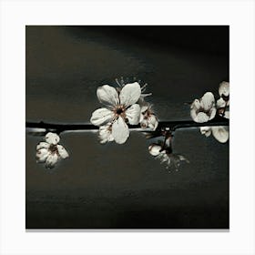 Blossoms Canvas Print