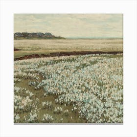 Field Of Daffodils Canvas Print