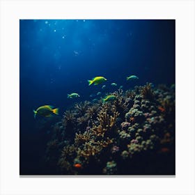 Coral Reef 13 Canvas Print