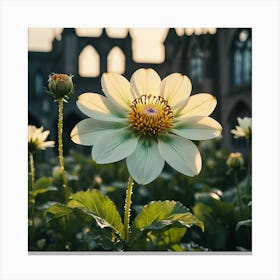 1000000560 Canvas Print