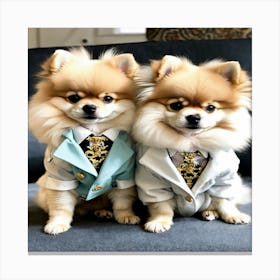 Two Pomeranian Dogs In Suits Canvas Print