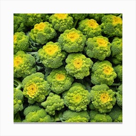 Florets Of Broccoli 8 Canvas Print