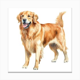 Golden Retriever Dog 1 Canvas Print