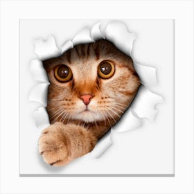 Sweet Kitten Cat Torn 3d Funny Cat Lover Canvas Print