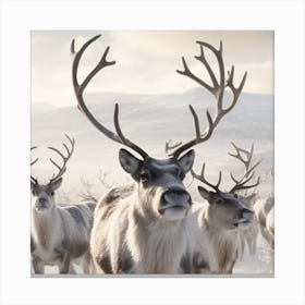 Reindeer Herd Canvas Print