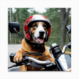 Dog On A Motorcycle Canvas Print