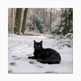 Frosted Paws in the Winter Woods Canvas Print