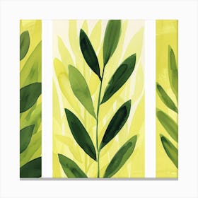 Three Leaf Paintings Canvas Print