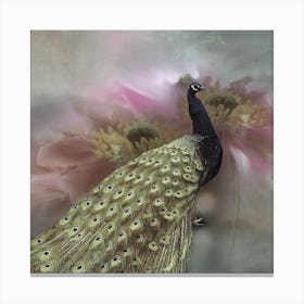 Peacock Canvas Print