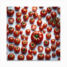 Red Tomatoes On White Background Canvas Print