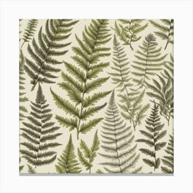 Ferns 4 Canvas Print