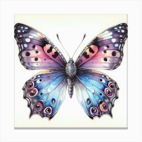 Butterfly 11 Canvas Print