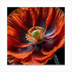 Ethereal poppy flower 9 Canvas Print