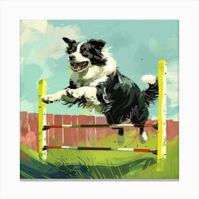 Border Collie Jumping Over An Obstacle Canvas Print