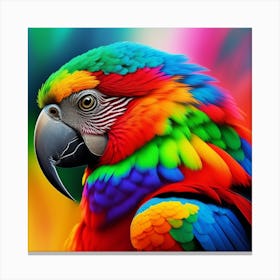 Colorful Parrot With Black Beak Yellow Eyes Canvas Print