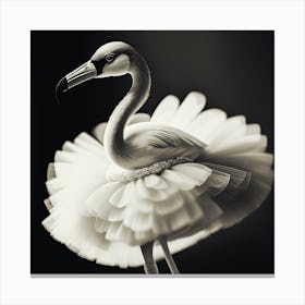 Flamingo 2 Canvas Print