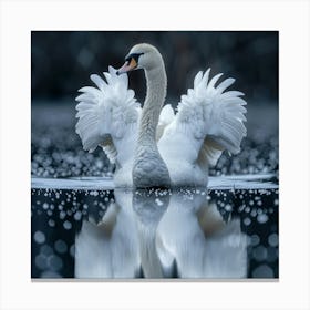 Fluffy Swan Canvas Print