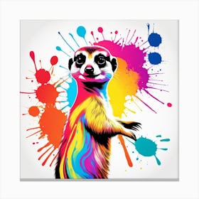 Funky Meerkat Canvas Print