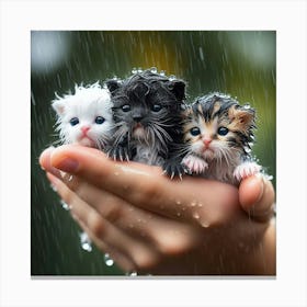 Kittens In The Rain 7 Canvas Print