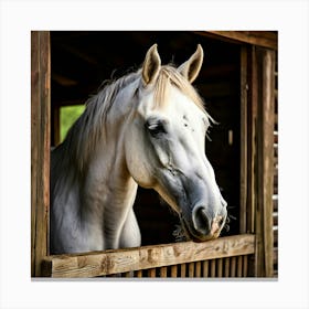 Head Purebred Equestrian Beauty Window Horse Shed Rural Farm Photo Horizontal Mare Hobby (3) Leinwandbilder