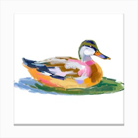 Duck 09 Canvas Print