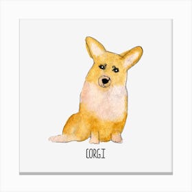 Corgi Canvas Print