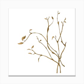 Branch Wall Art Canvas Print