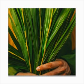 Palm Leaves In Hands Canvas Print