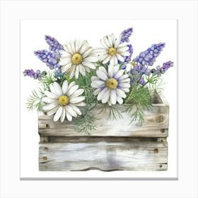 Daisies In A Wooden Box Canvas Print