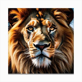 Lion Portrait 8 Canvas Print