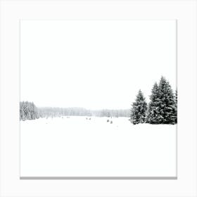 White White Winter 3 Square Canvas Print