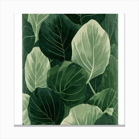 Green Leaves 1 Canvas Print