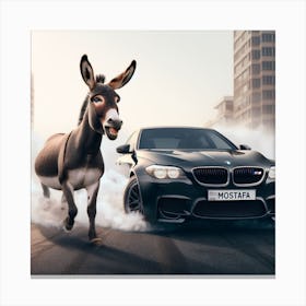 Donkey Canvas Print