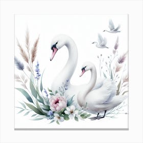 Pair of swans 1 Canvas Print
