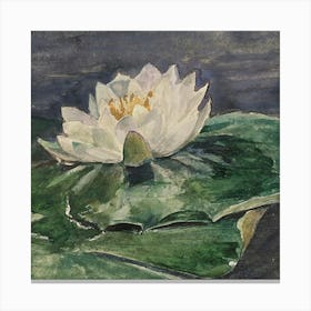 Water Lilies 5 Canvas Print