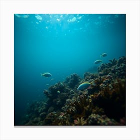 Great Barrier reef 11 Canvas Print