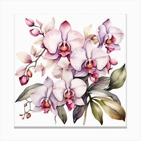 Pattern with Orchid flowers Canvas Print