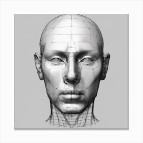 3d Head Model 6 Canvas Print