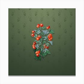 Vintage Sweet Scented Hawthorn Botanical on Lunar Green Pattern Canvas Print
