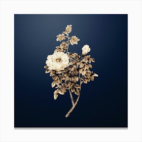 Gold Botanical Ventenat's Rose on Midnight Navy n.2461 Canvas Print