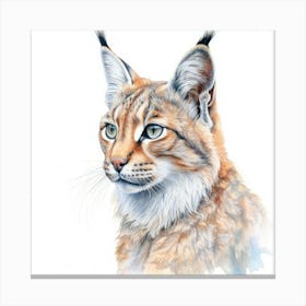 Island Lynx Cat Portrait 3 Canvas Print