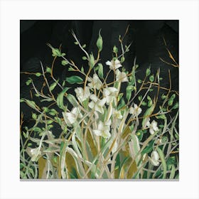 White Orchids 1 Canvas Print