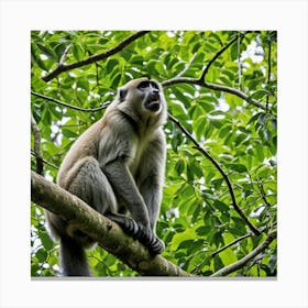 Monkey In Tree 3 Canvas Print