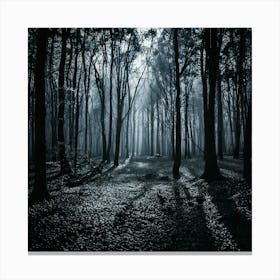 Firefly Noir Forest A Monochromatic Look With High Contrast And Deep Shadows 1 Toile