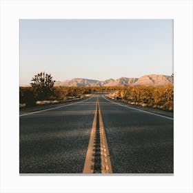 Highway Through Desert Canvas Print