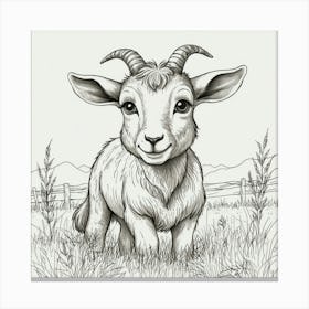 Baby Goat Canvas Print