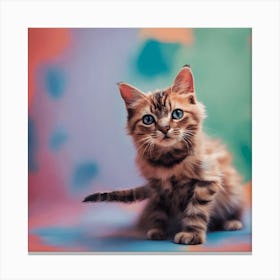 Portrait Of A Kitten Canvas Print