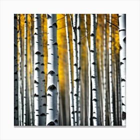 Birch Trees In Autumn 18 Canvas Print