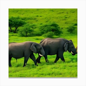 Elephants In The Wild Photo Canvas Print