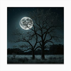 Full Moon In The Sky Canvas Print